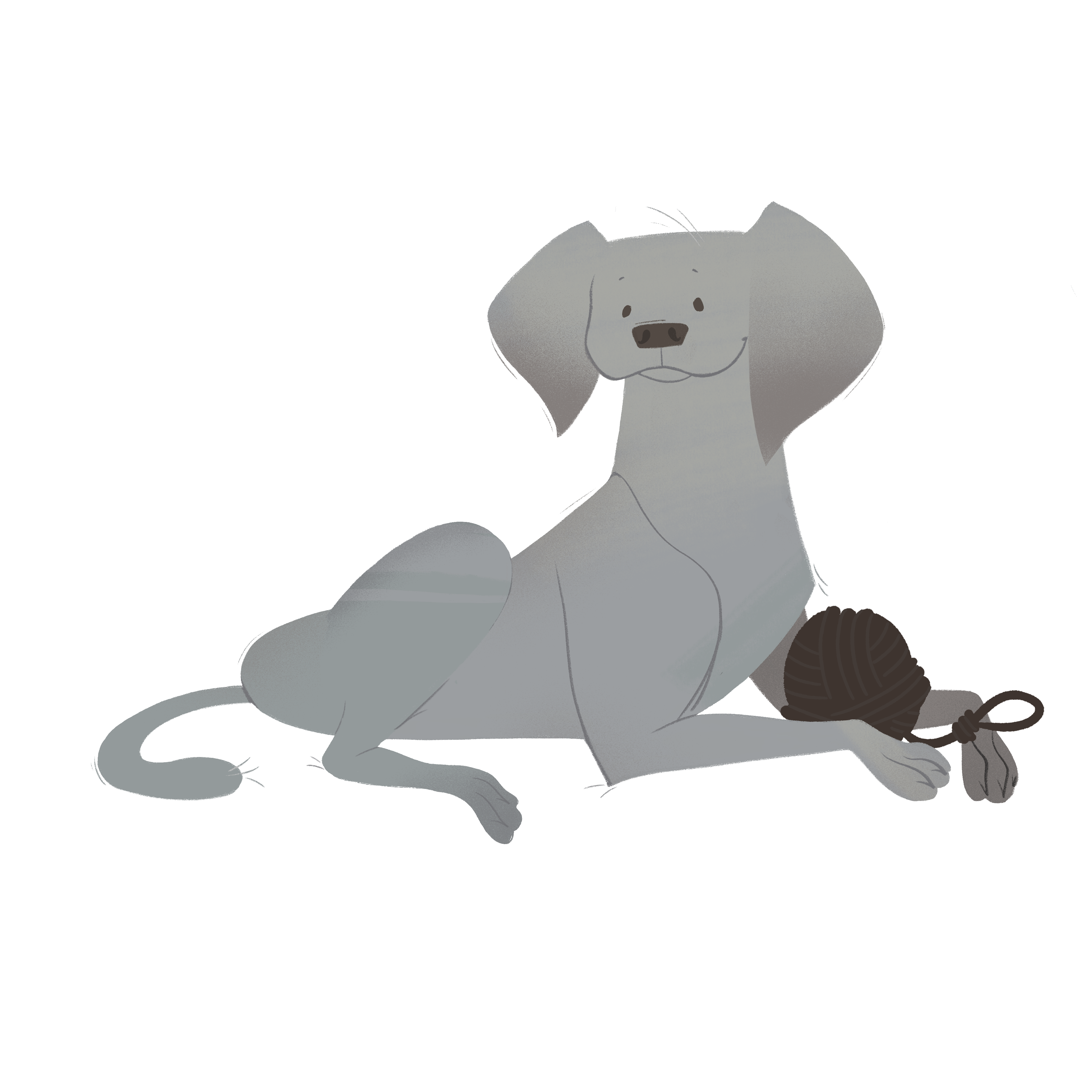our dog