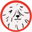 small dog